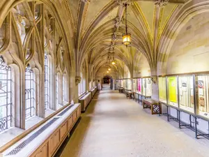 Strangled, Hidden, and Left to Rot - The Ivy League Murder That Shocked the Nation