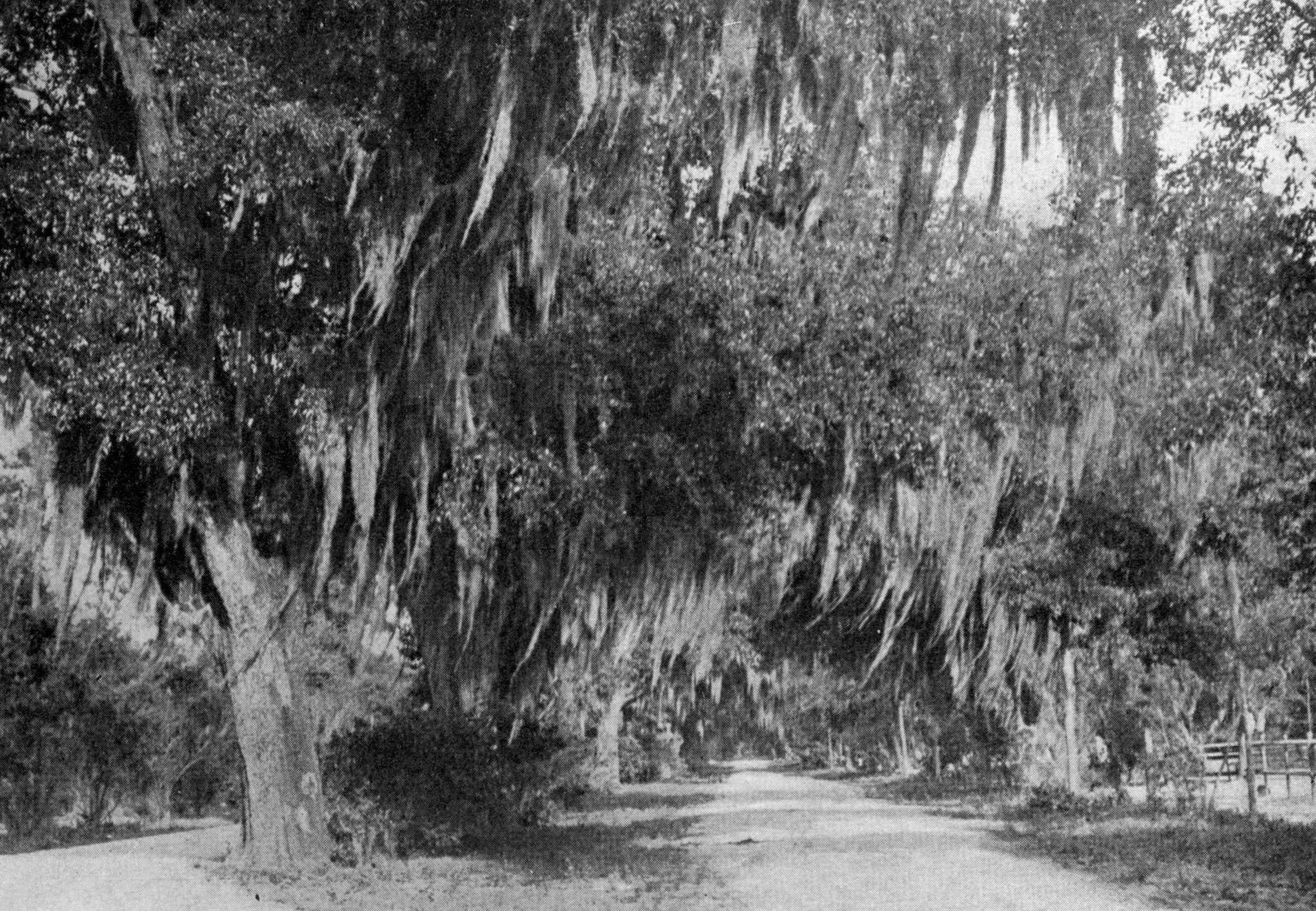 8 of the Most Haunted Places in America-2