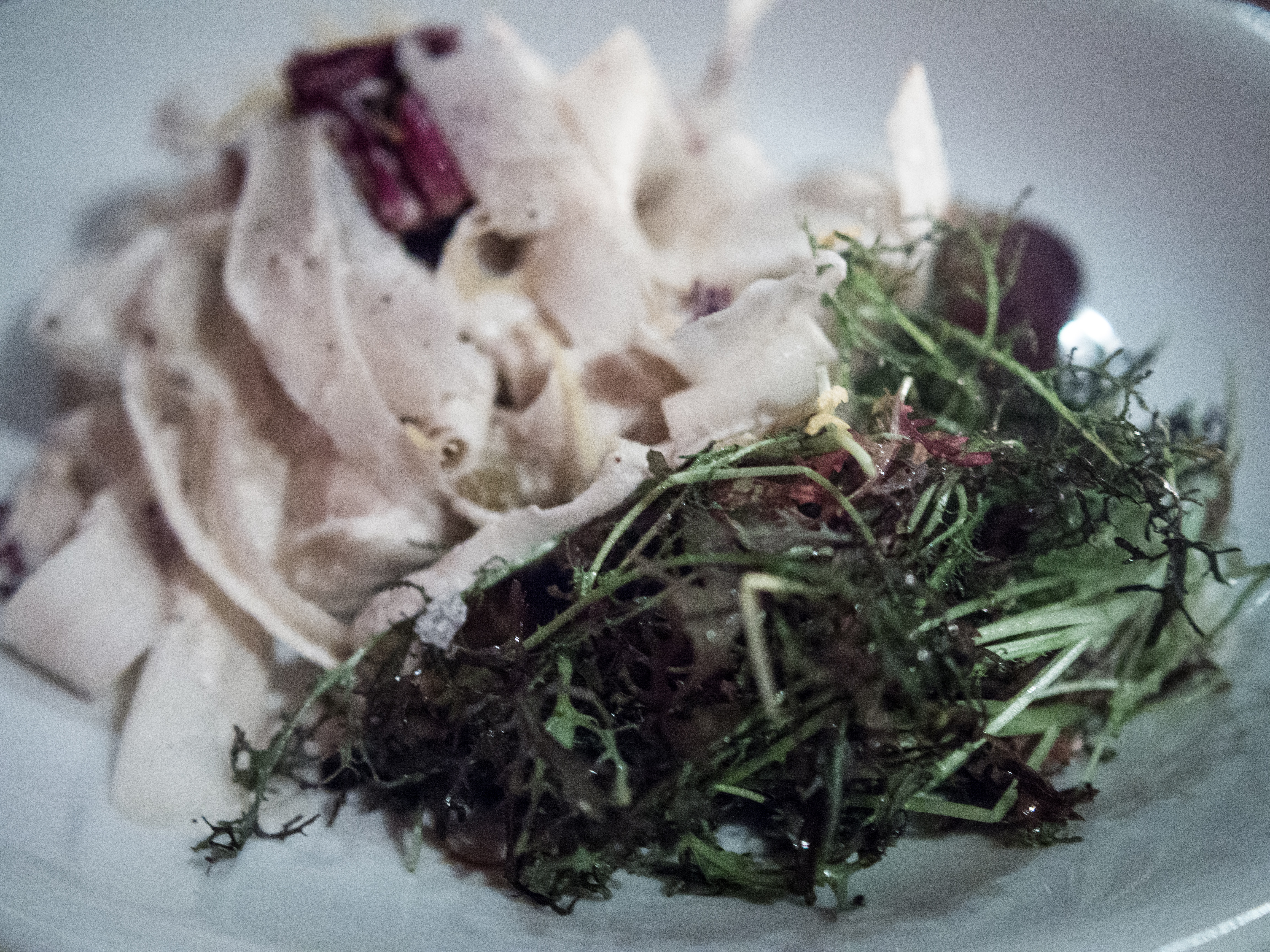 The Rise and Fall of Sarma Melngailis' Vegan Empire-2