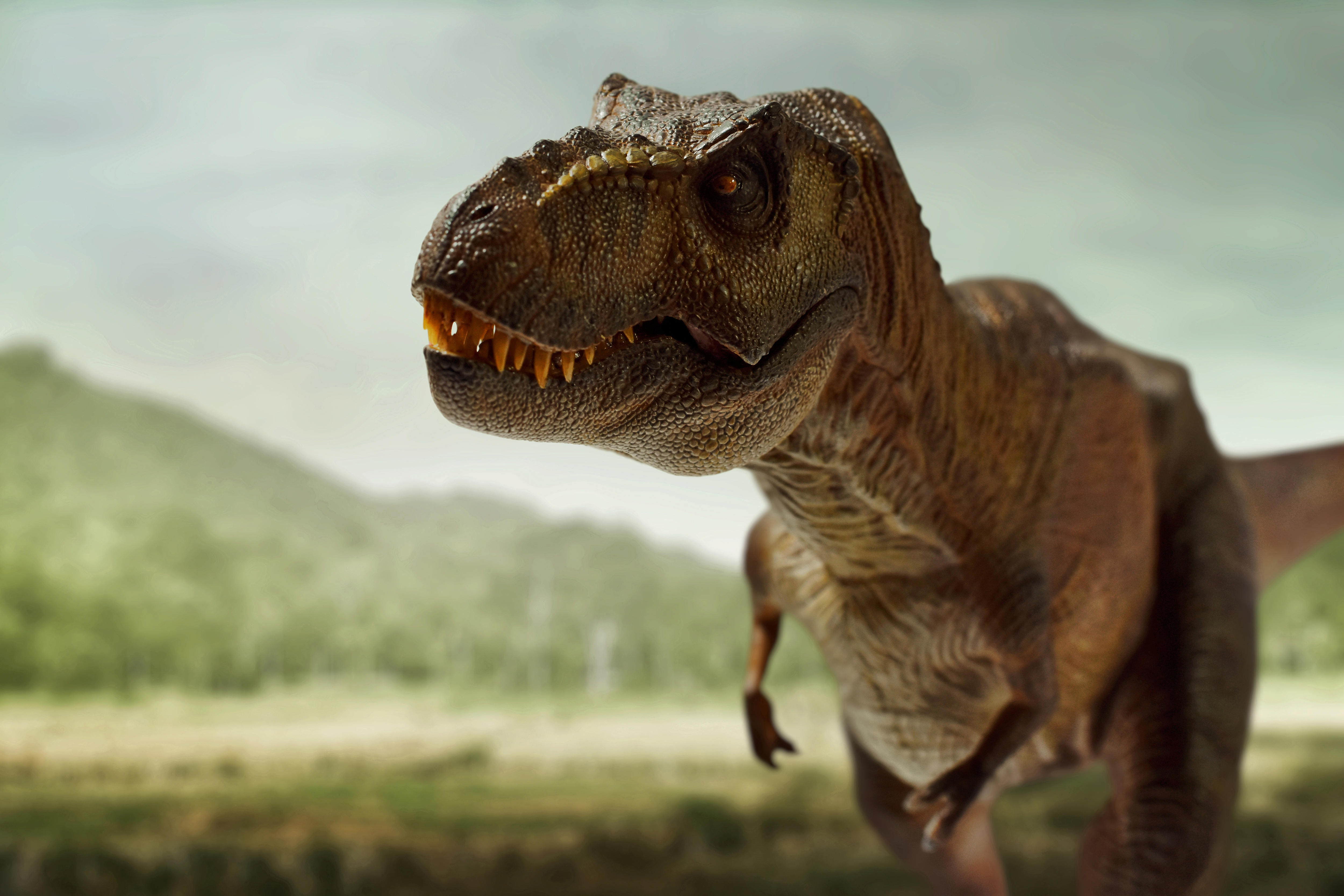Where Have the Most Dinosaur Fossils Been Found?-3