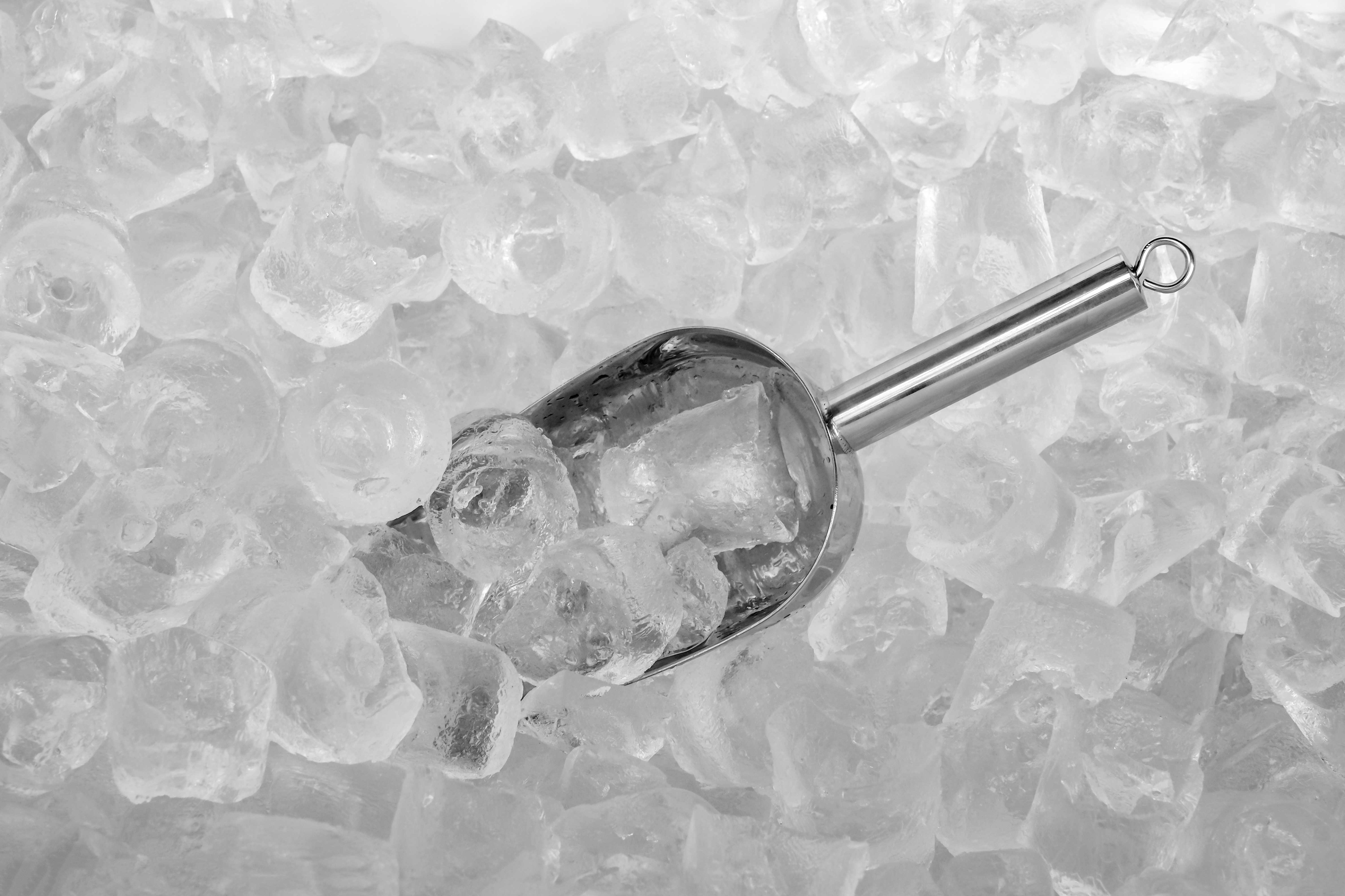 10 Filthy Restaurant Items That Will Make You Cringe-7