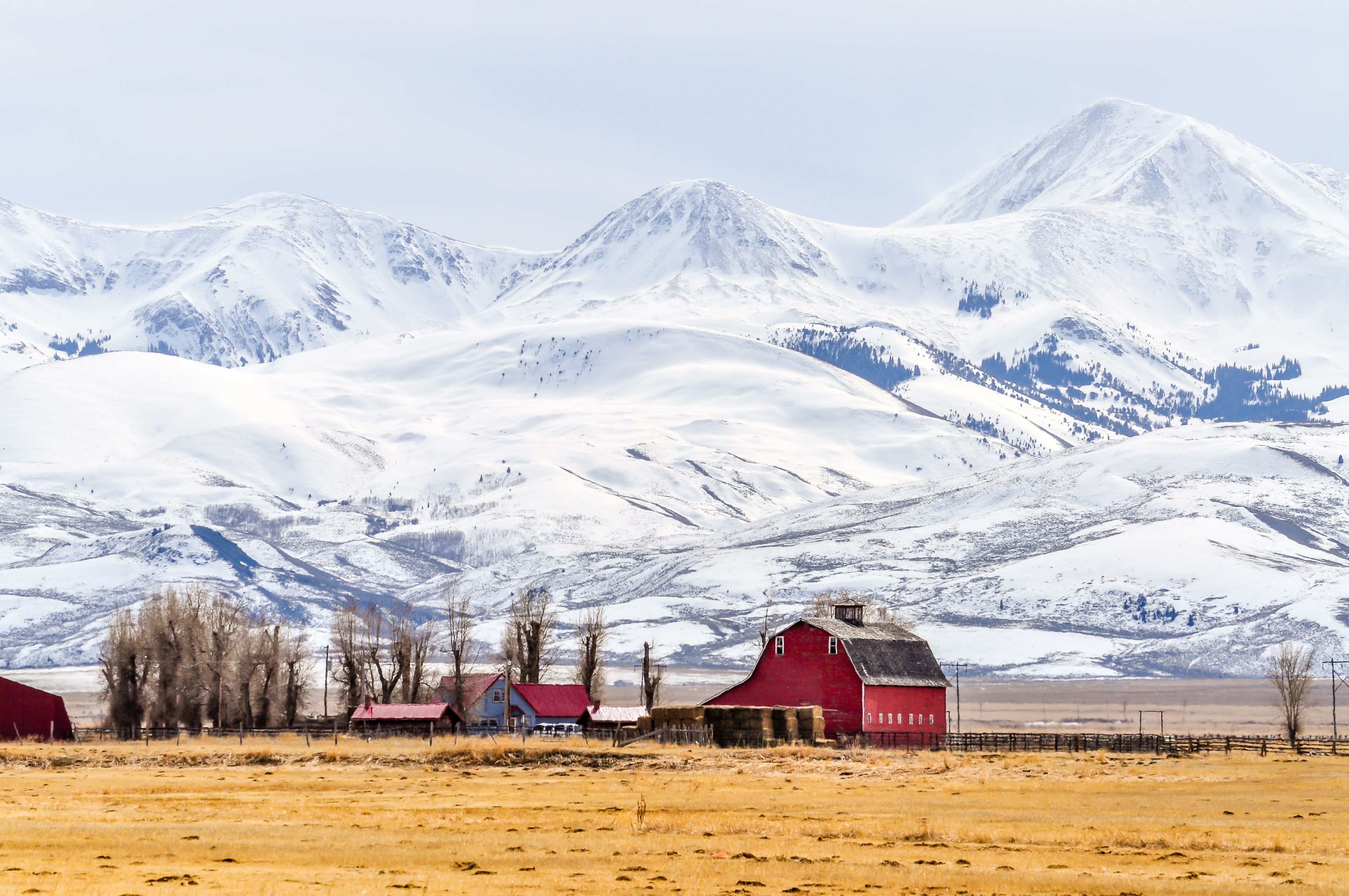 Top 10 Places People Are Moving to in America-4