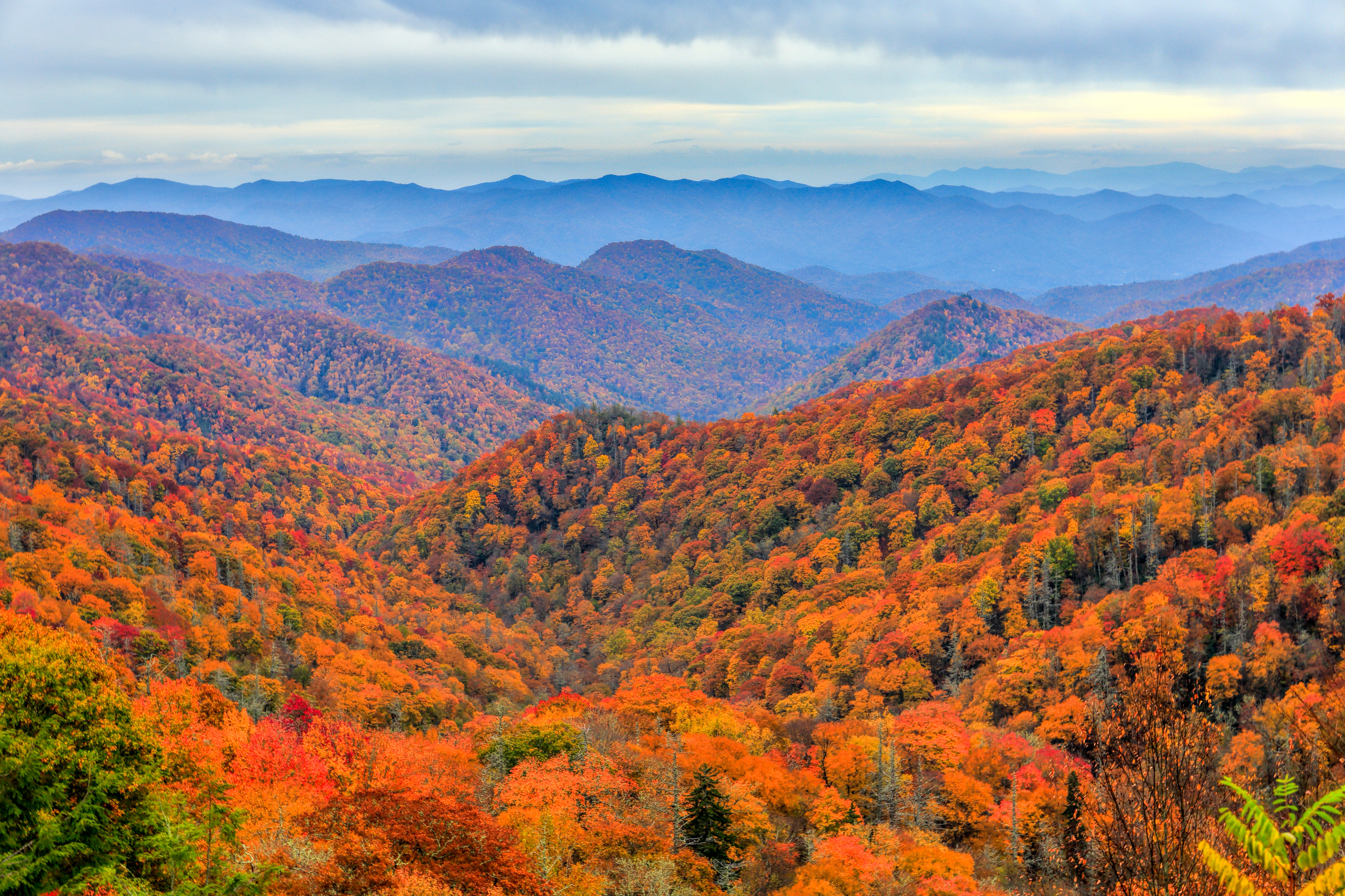 Top 10 US National Parks for a Memorable Family Adventure-1