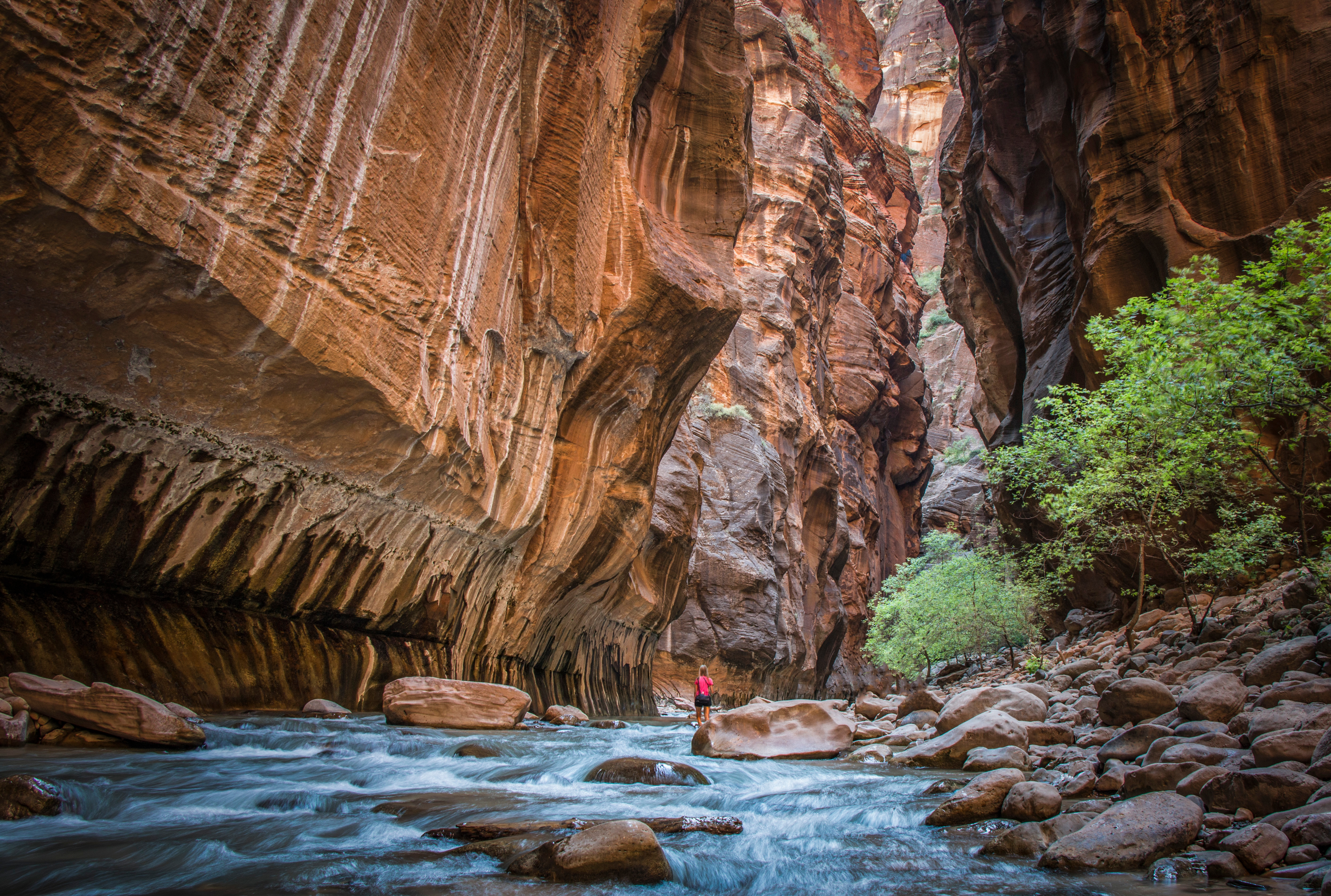 Top 10 US National Parks for a Memorable Family Adventure-7