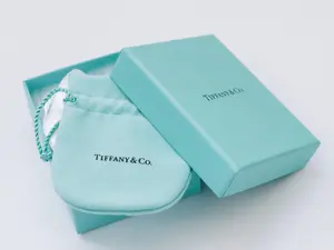 $770K Tiffany® Robbery Ended in Hospital Toilet