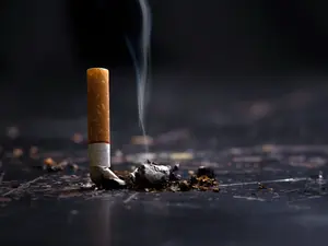Vermont Singer's Murder Finally Solved by 1 Cigarette