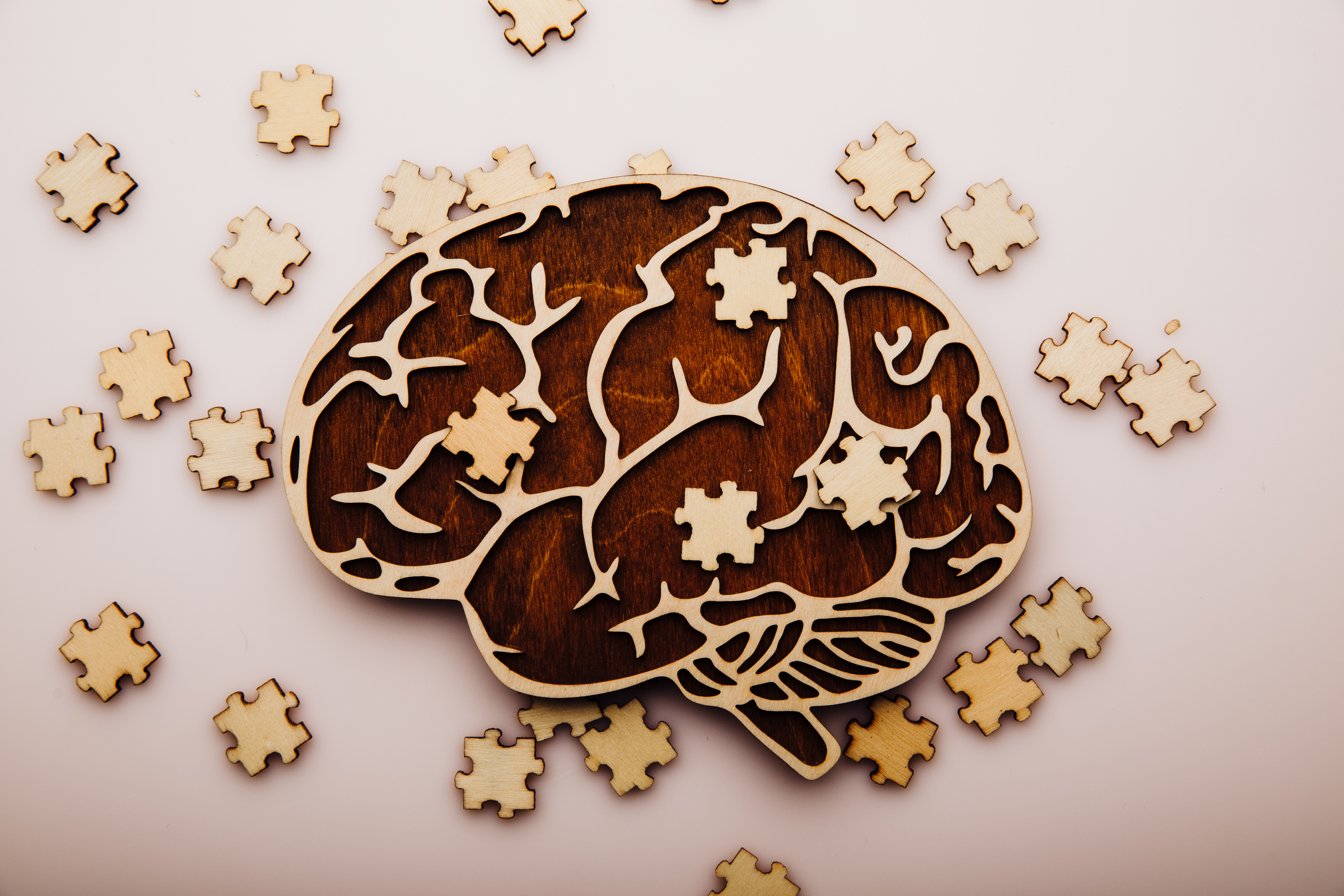What Makes a Memory Stick? Insights from New Research-2