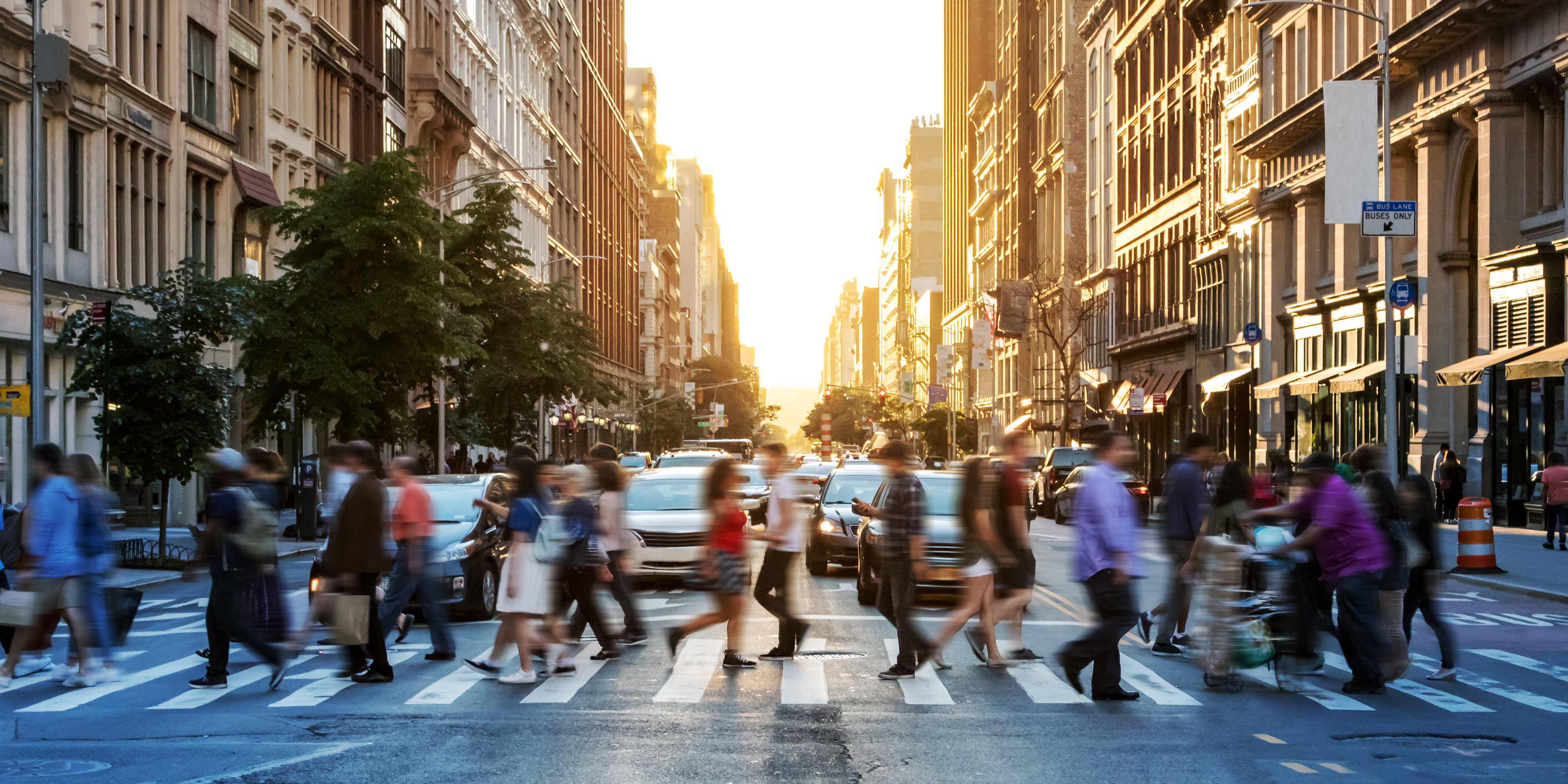 SUVs: More Dangerous for Passengers and Pedestrians?-2