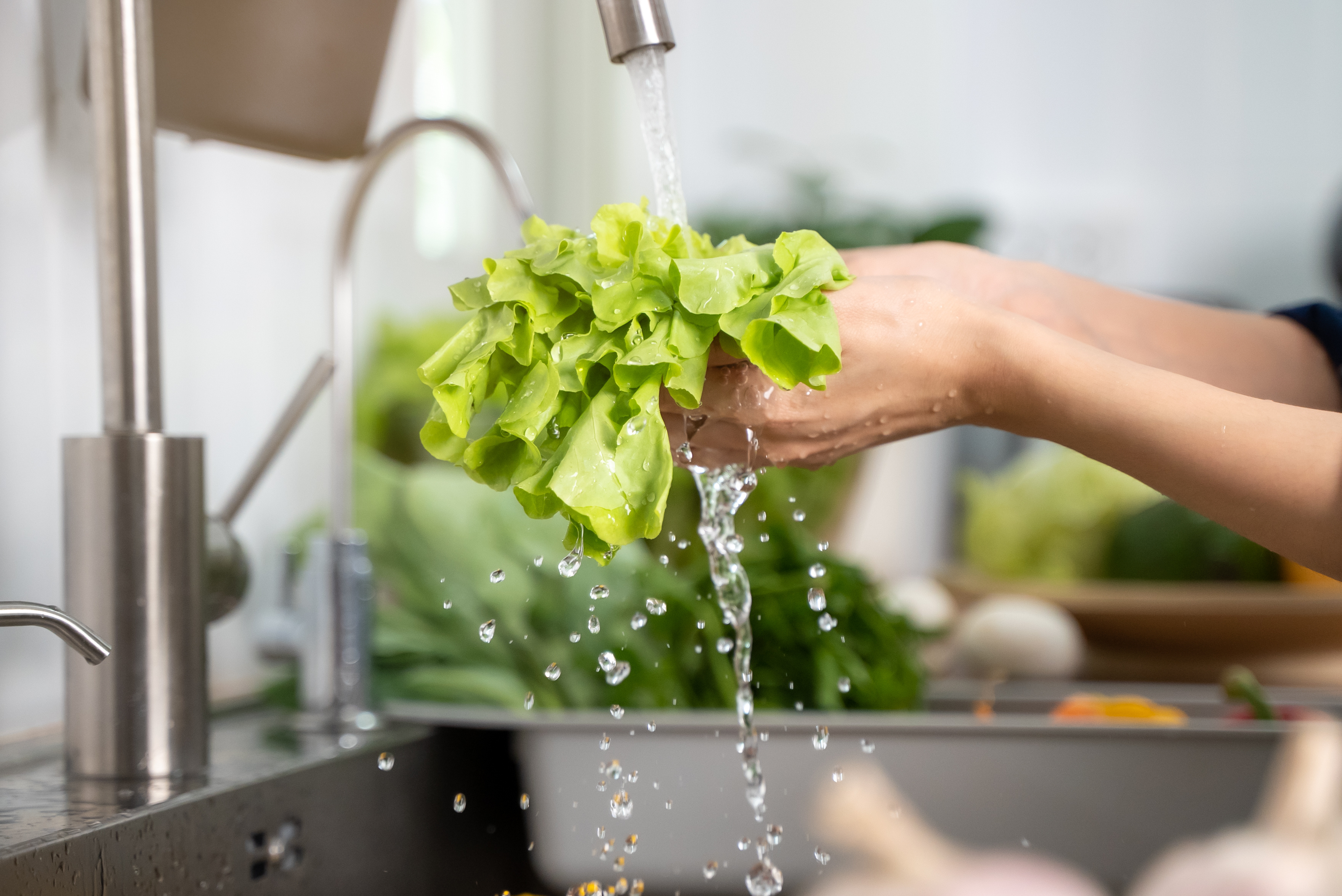 Is Washing Your Food Necessary? The Surprising Truth!-1