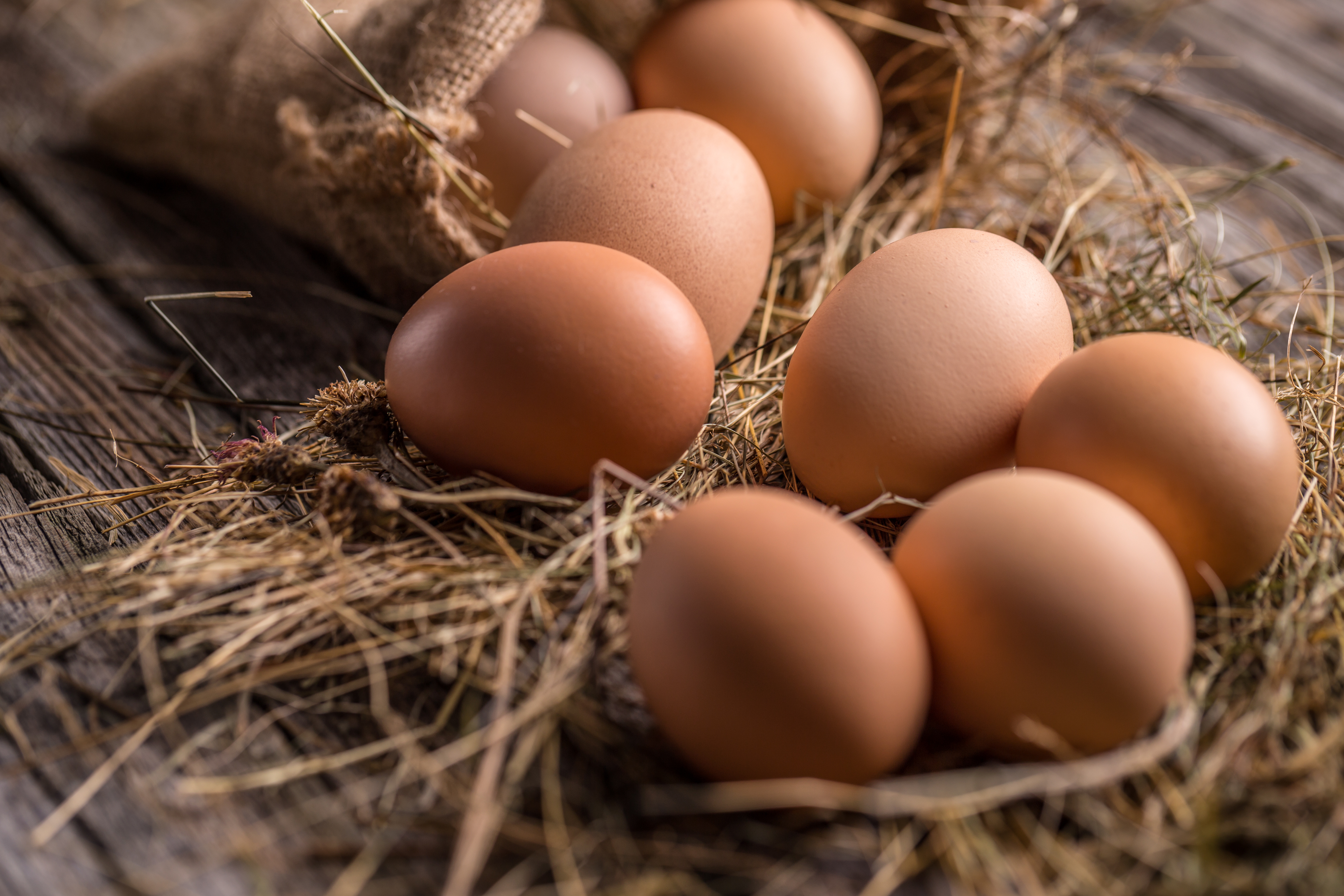 Is Washing Your Food Necessary? The Surprising Truth!-3