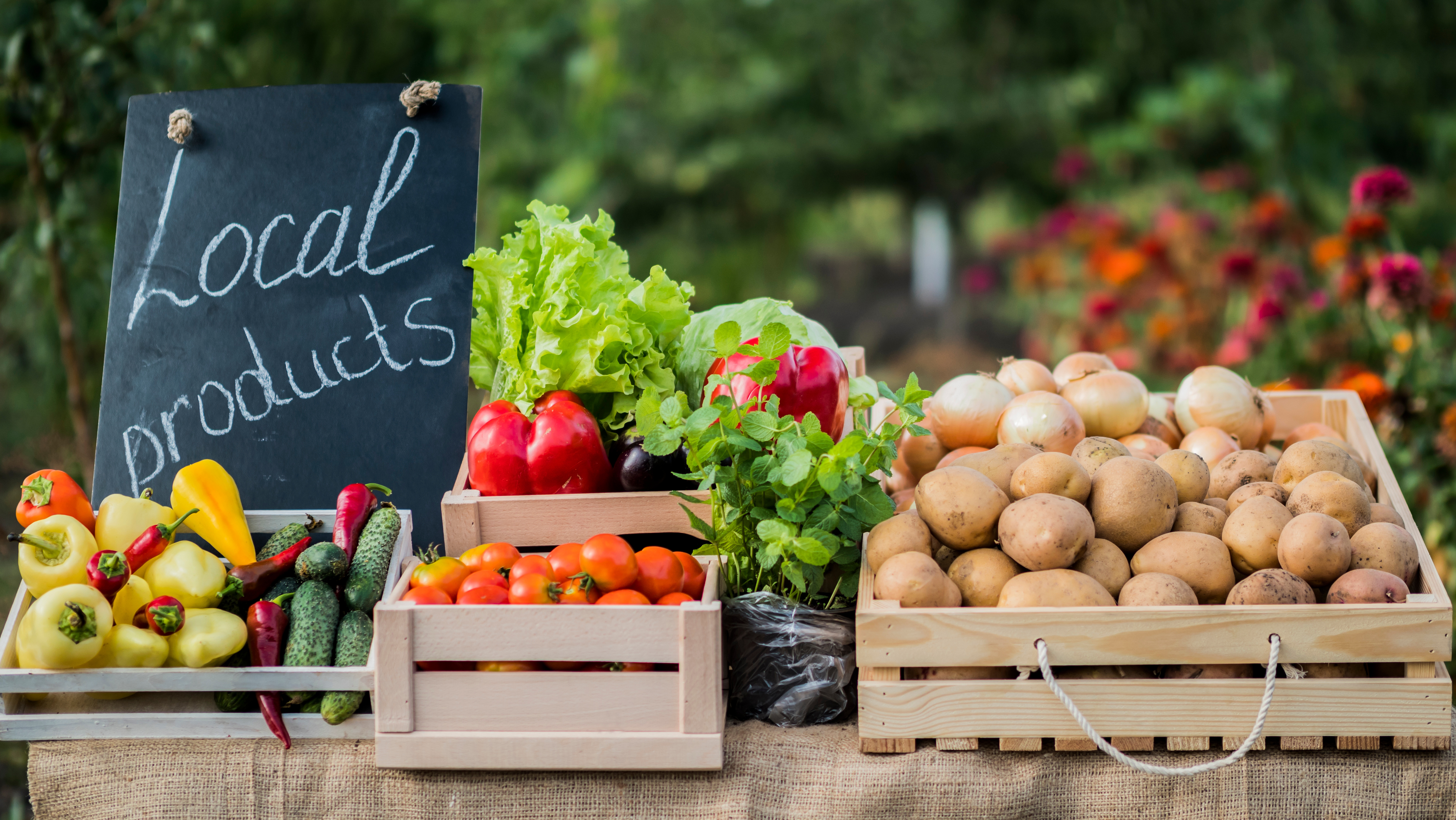 How to Save Money on Groceries: Ultimate Guide for 2024-2